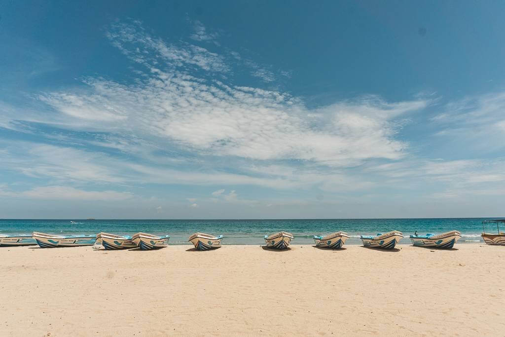Surfing trincomalee sri lanka - journey to ceylon